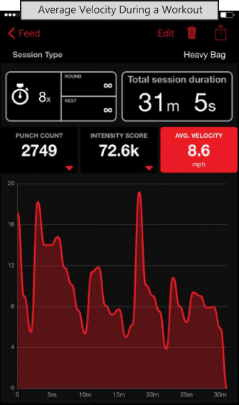 Hykso punch trackers at Goju Karate