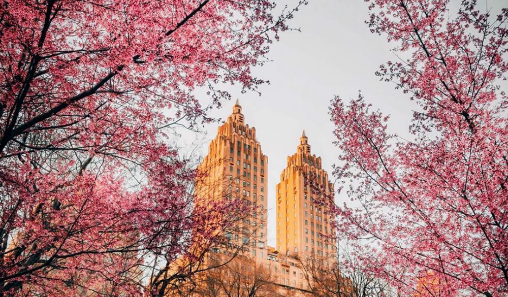 Ichigo ichie — One Moment, One Meeting 一期一会