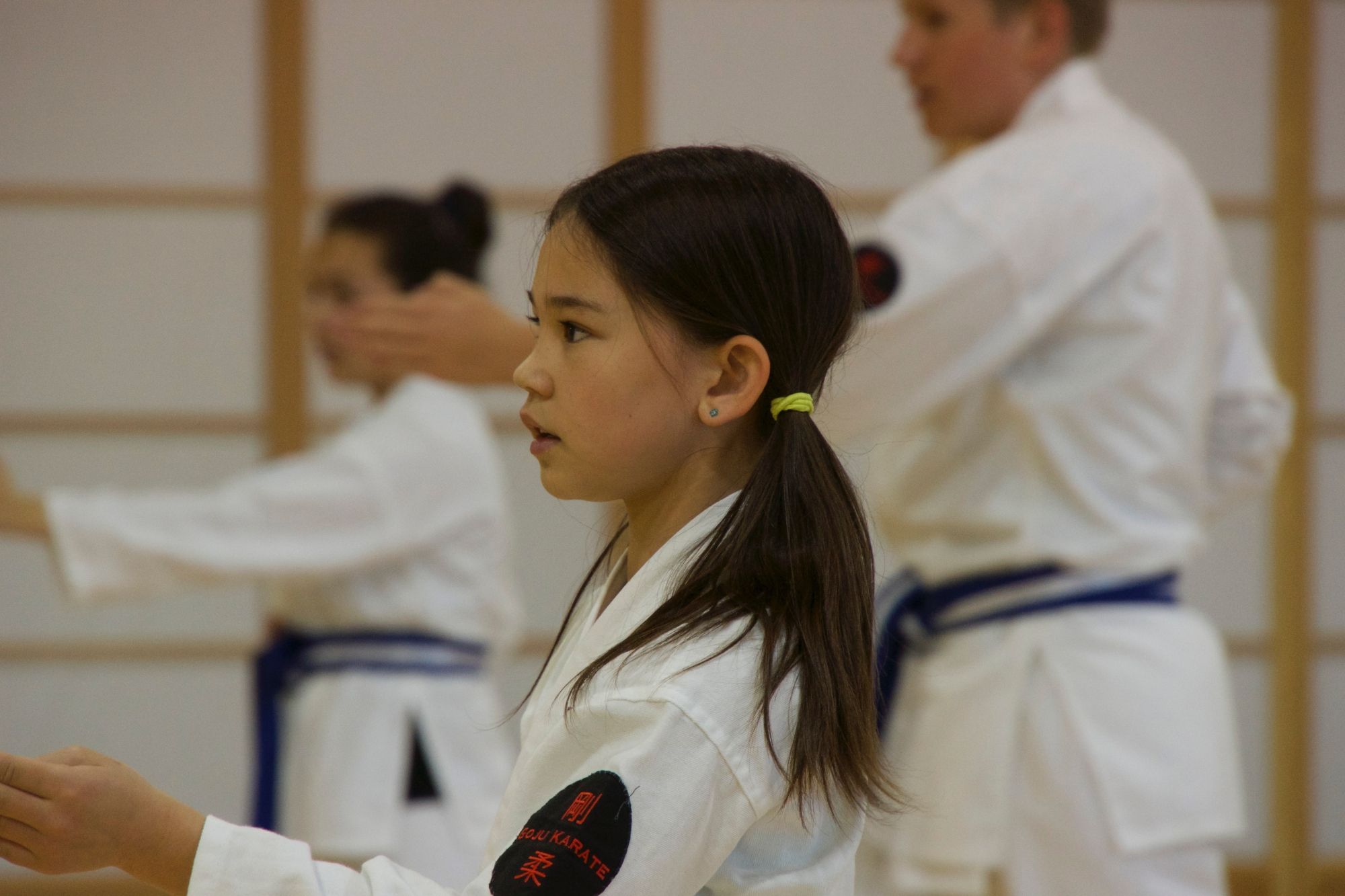 Goju Karate Olympic Karate Program