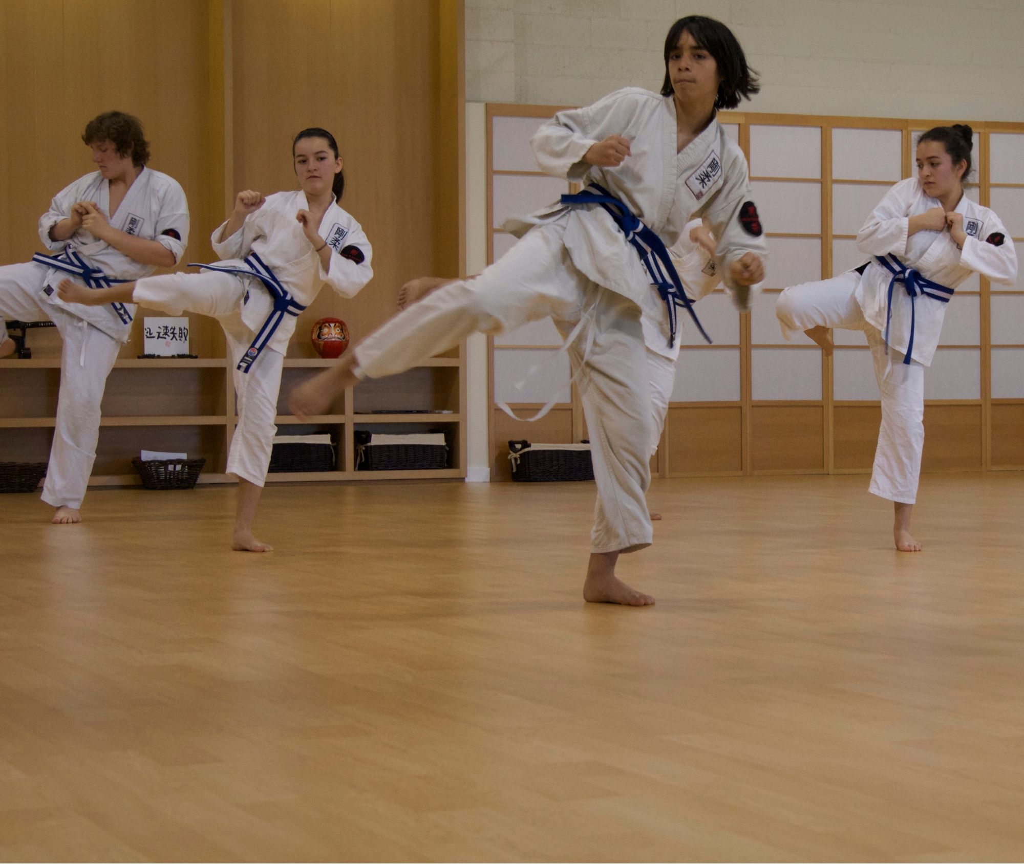 Teen Karate Classes at Goju Karate
