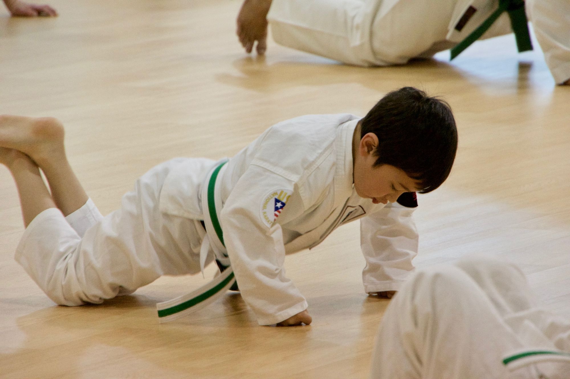 Youth Karate Classes at Goju Karate