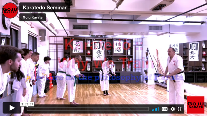 Karatedo Seminar 2022: Video Now Available