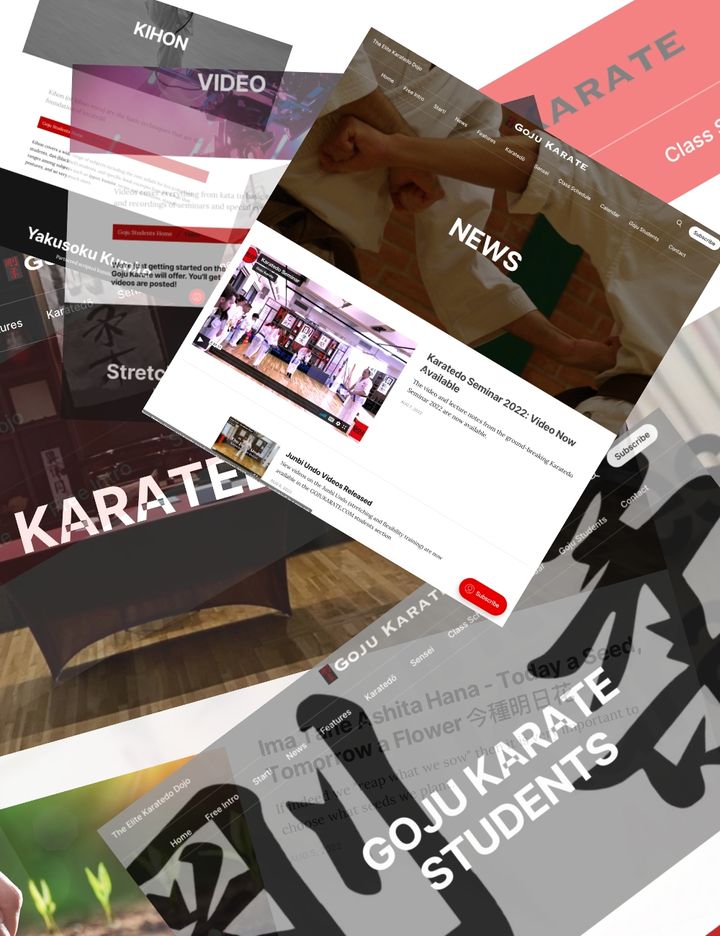 The New GOJUKARATE.COM