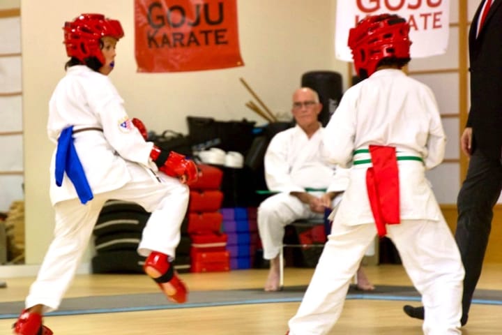 Kids Kumite Classes