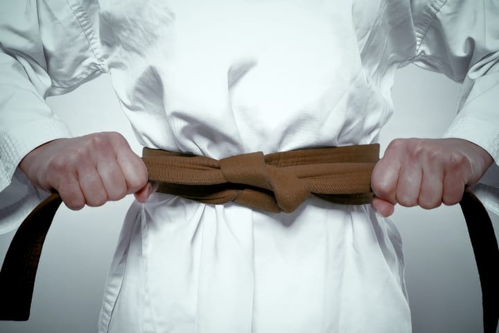 First Advanced Brown Belt Review Class 2025